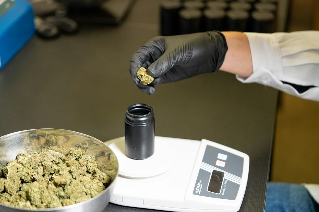 Colorado’s Delayed Cannabis Warnings Signal Deeper Compliance Crisis